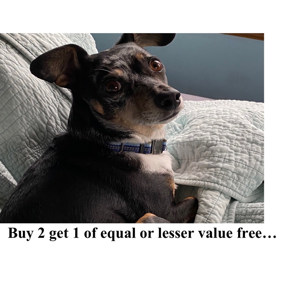 Buy two items and get one of equal or lesser value for free